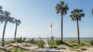 Spend A Day (or More!) At Edisto Beach State Park